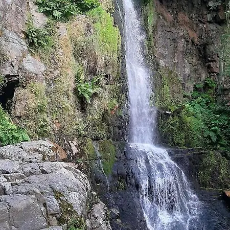 Casa Habanerin