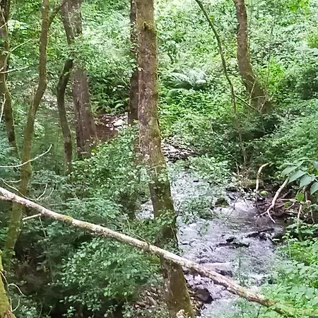 דירה Casa Habanerin Figueras (Asturias)
