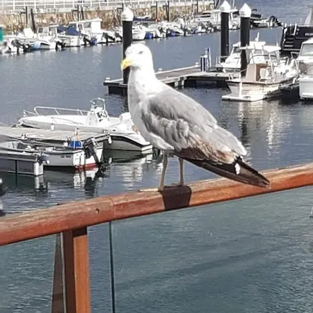Casa Habanerin דירה Figueras (Asturias)